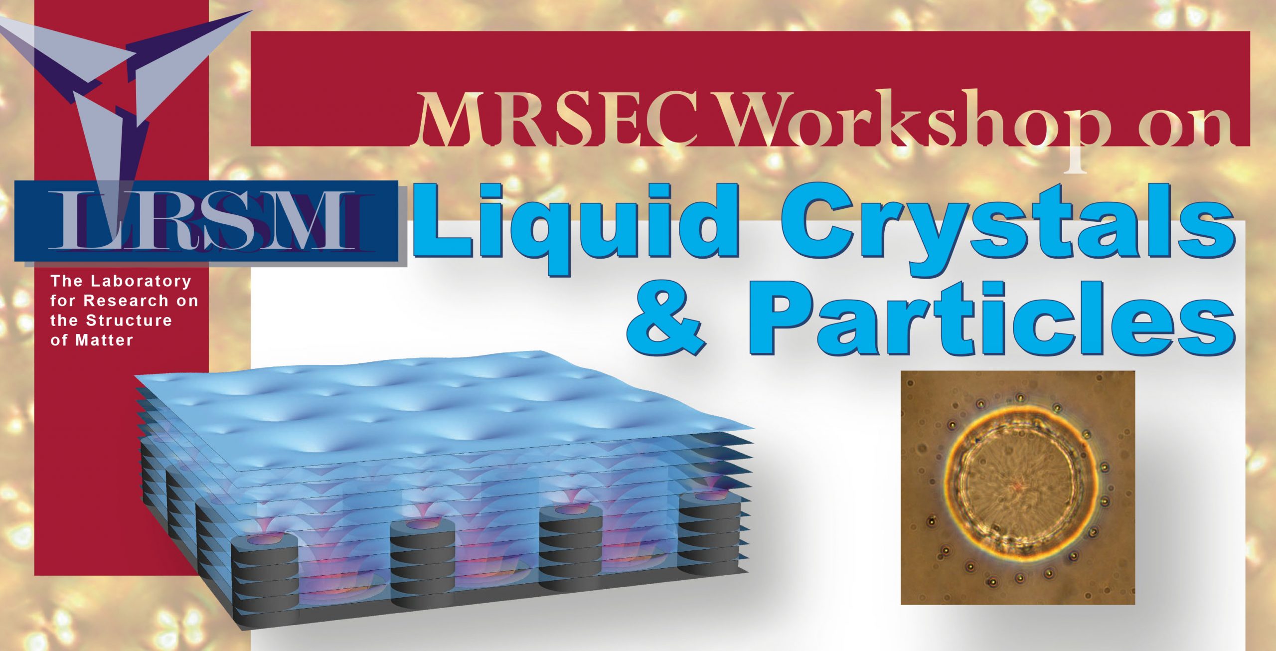 MRSEC Workshop on Liquid Crystals and Particles
