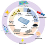 Wang & Liu 2022 LCE composite review image