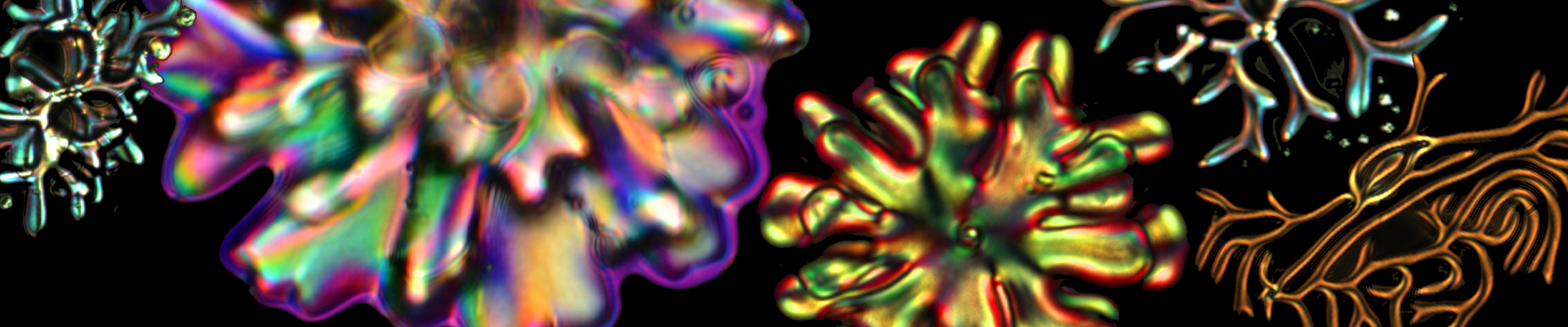 nematic liquid crystal drops image